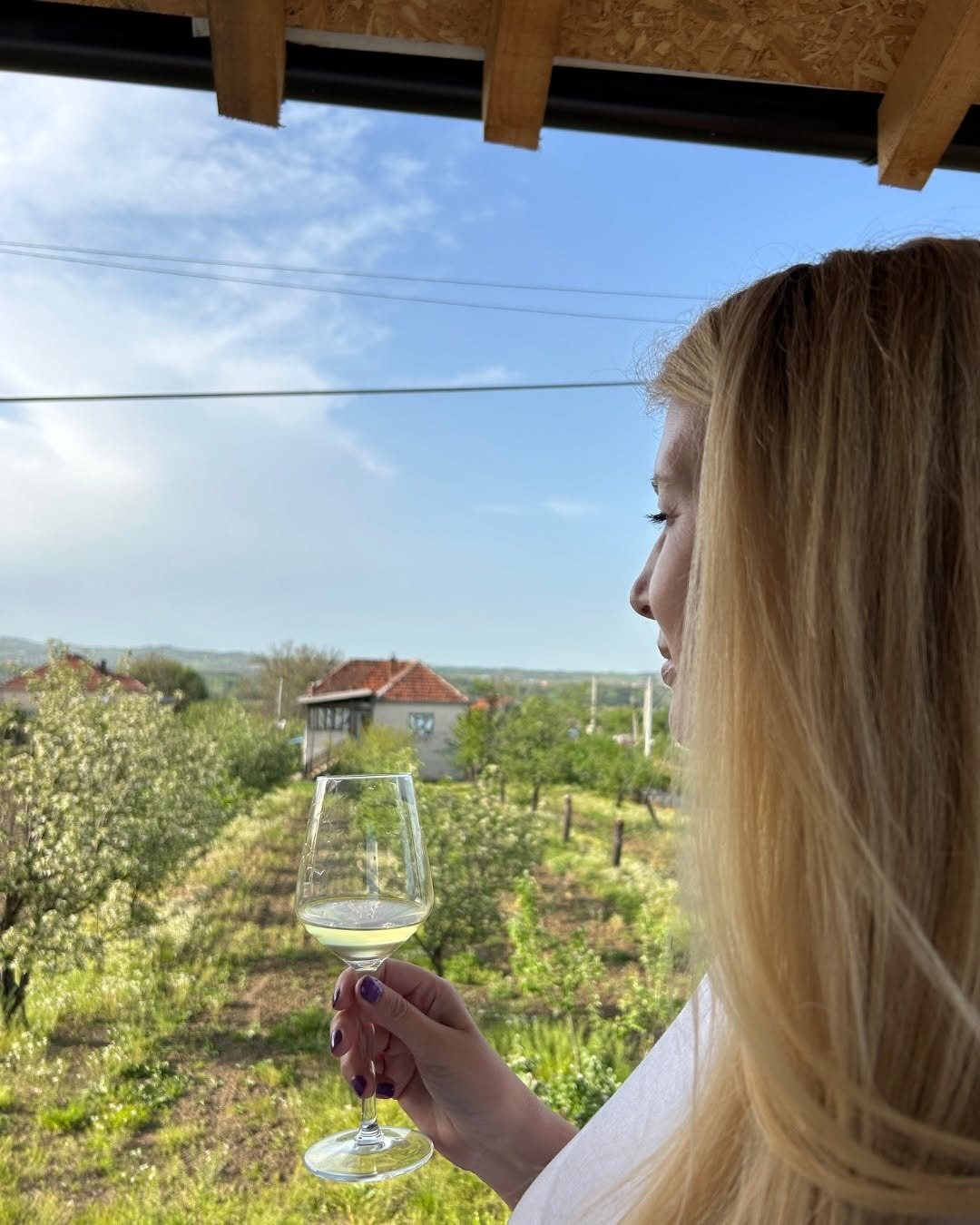 A glass of white wine held up against a vineyard in the late sun